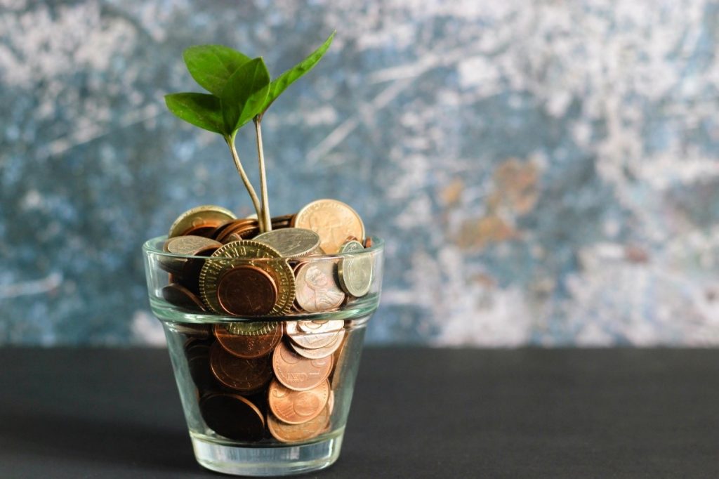 a small plant in a glass full of coins