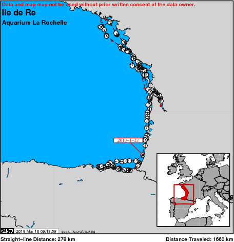 a map of the path taken by the turtle named Ile de Ré