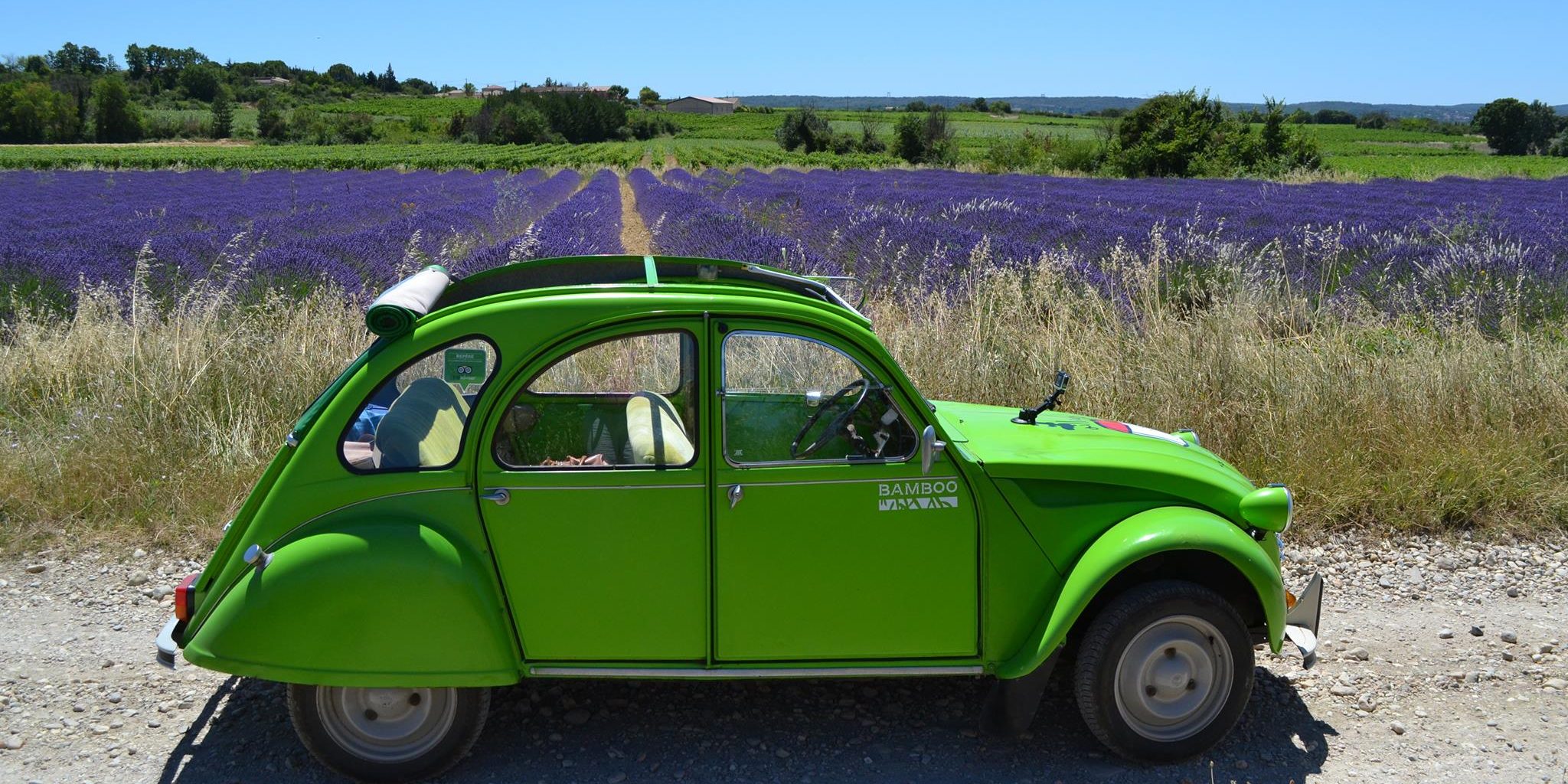 a green 2cv car in front of a lavender field