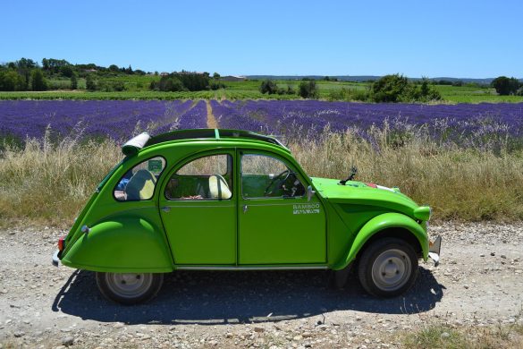 a green 2cv car in front of a lavender field