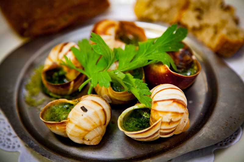 a dish of garlic snails weird french food
