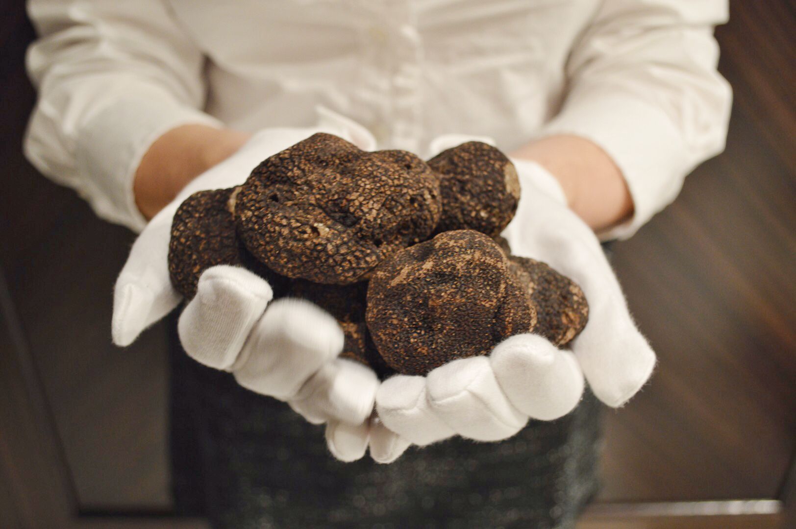 Tips to know on Truffles Hunting in France - Trip My France Blog