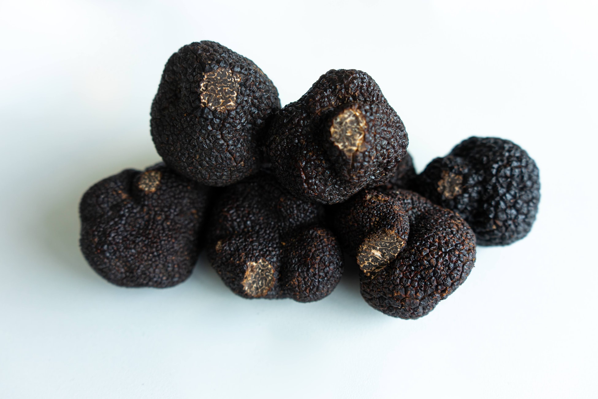 Tips to know on Truffles Hunting in France - Trip My France Blog