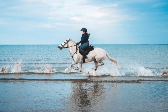 discover 3 horseback riding tours in France