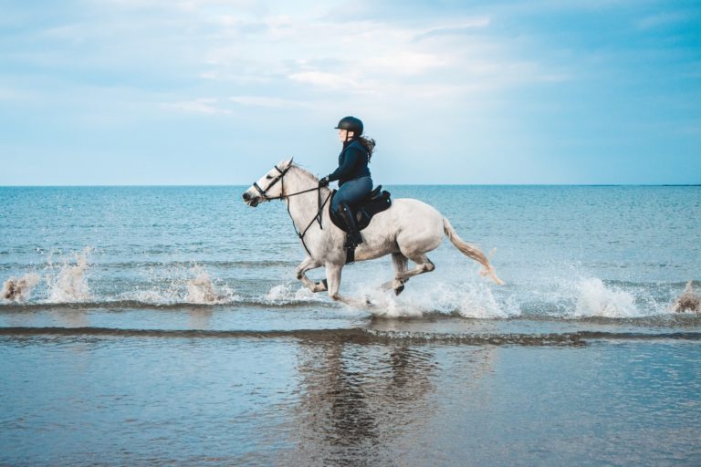 discover 3 horseback riding tours in France