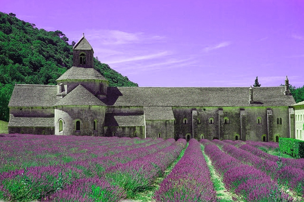 A wonderful monastery the Abbaye de Sénanque