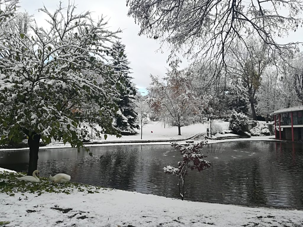 garden-lecoq-in-snow-at-clermont-ferrand