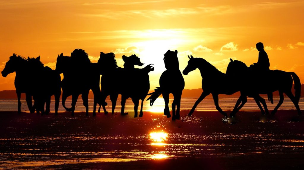 horse-riding-sunset