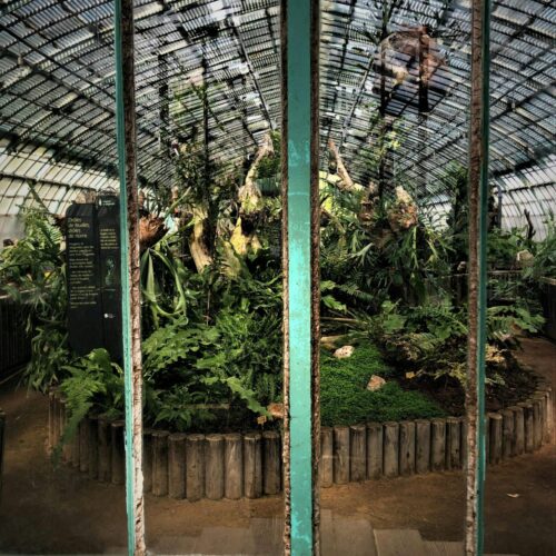 Jardin des Plantes