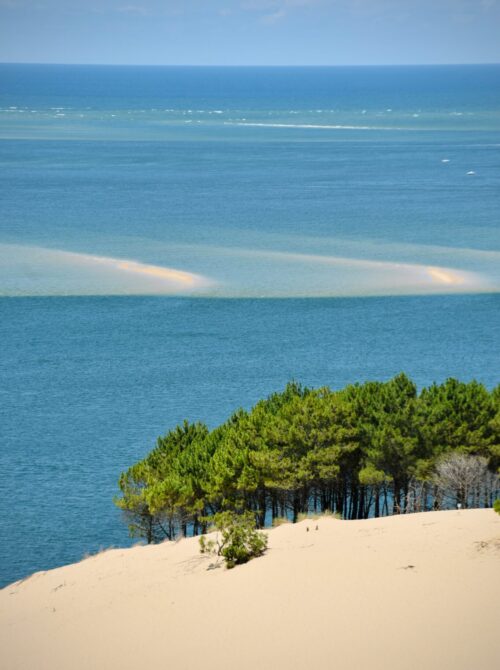 cycling in France The Dune du Pilat CR: Arno Senoner
