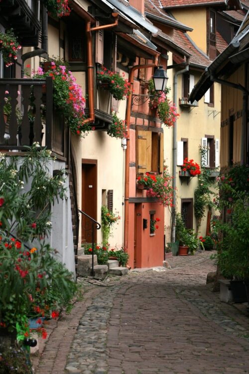 Travel in Eguisheim