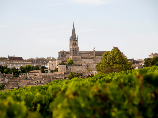 Wines : St Emilion