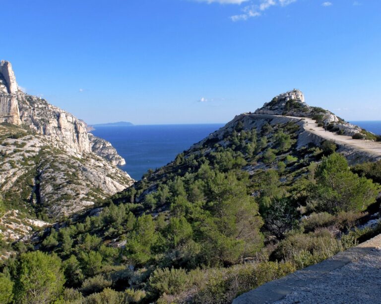 ©djedj-calanque cassis