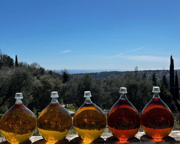 domaine des hautes collines